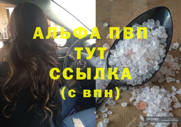 гашик Бородино