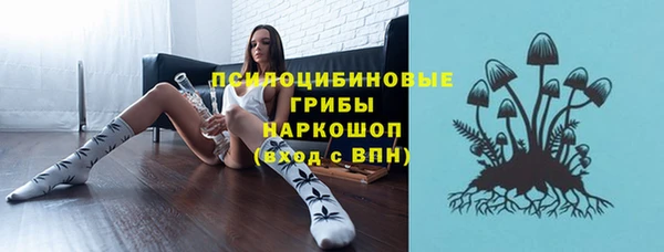 ПСИЛОЦИБИНОВЫЕ ГРИБЫ Бронницы