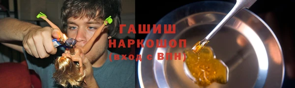 гашик Бородино