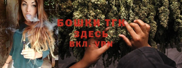 гашик Бородино