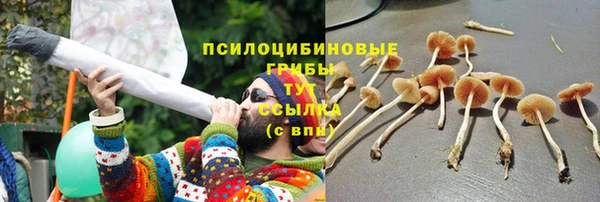 ПСИЛОЦИБИНОВЫЕ ГРИБЫ Бронницы