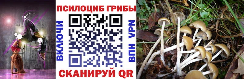 Галлюциногенные грибы GOLDEN TEACHER  Петропавловск-Камчатский 
