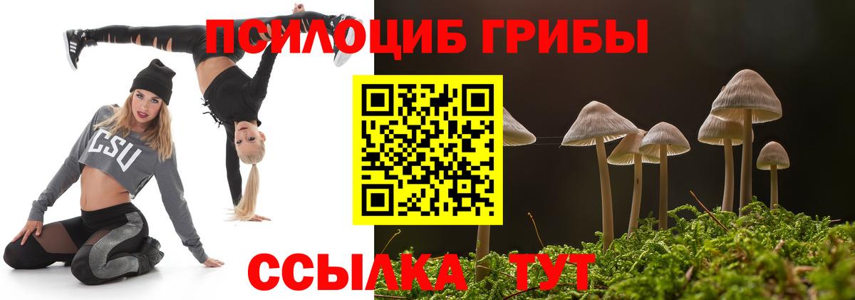 Петропавловск-Камчатский  хочу   Вход с VPN  Галлюциногенные грибы прущие грибы 